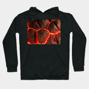 Lychee shell under the microscope Hoodie